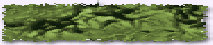 hg002001.jpg
